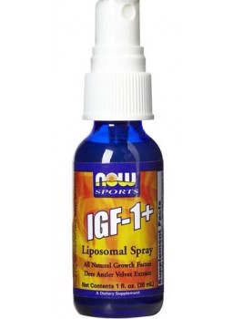  IGF-1
