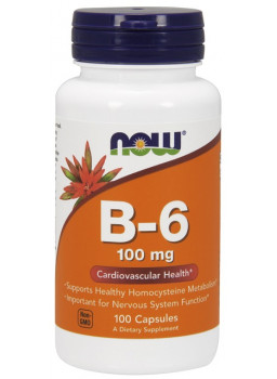 B-6 100 mg