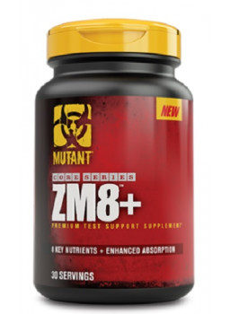  ZM8+ 
