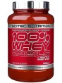 Scitec Nutrition 100% Whey Protein Professional 920 гр.