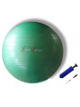 Sport Pioneer Мяч гимнастический с насосом 55 см. зеленый шт.