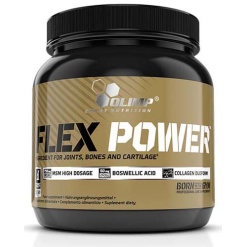 Olimp Flex Power 504 гр