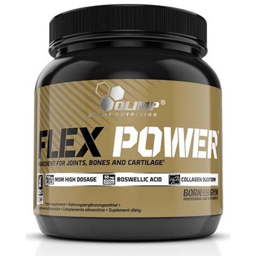 Olimp Flex Power 504 гр