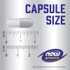NOW Creatine Monohydrate 120 капс